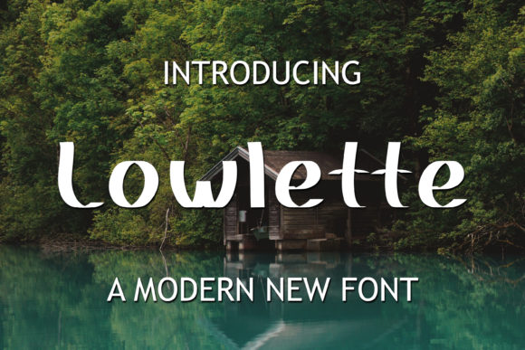 Building a Friendly Online Brand Experience with Lowlette