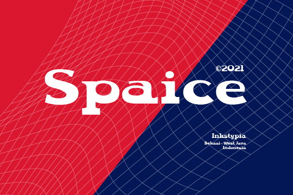 Choosing Spaice for My Next Web Design Project