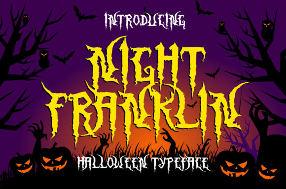 Night Franklin: The Bold Display Font for Distinctive Campaigns