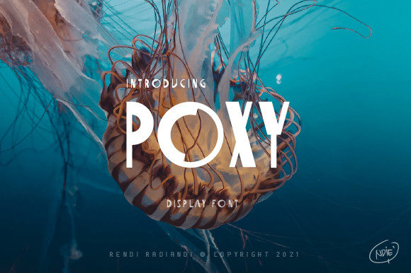 Why Poxy is the Font My Brand Needed